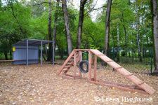 В Перми обустроили еще две площадки для выгула собак