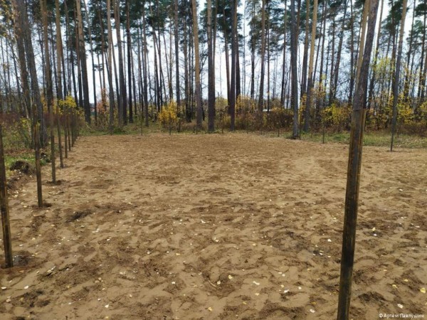 В Кировском районе Перми появится сразу две площадки для выгула собак