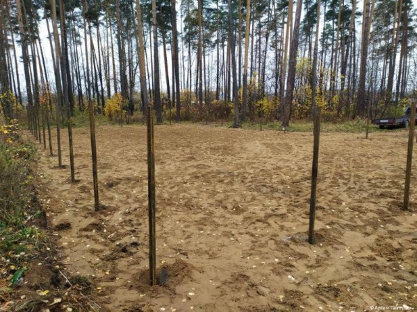 В Кировском районе Перми появится сразу две площадки для выгула собак