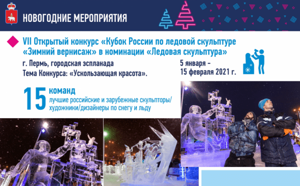 Дмитрий Махонин: «Празднование Нового года будет организовано в регионе в особом режиме»