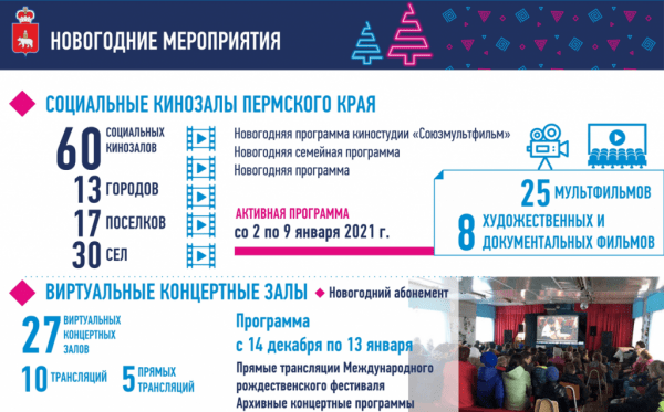 Дмитрий Махонин: «Празднование Нового года будет организовано в регионе в особом режиме»