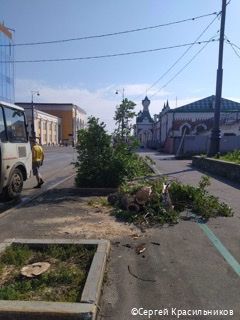 В Перми подрядчики начали вывозить упавшие после сильной грозы деревья В Перми подрядчики начали вывозить упавшие после сильной грозы деревья