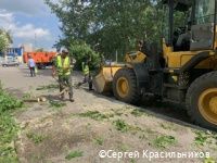 В Перми подрядчики начали вывозить упавшие после сильной грозы деревья В Перми подрядчики начали вывозить упавшие после сильной грозы деревья