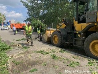 В Перми подрядчики начали вывозить упавшие после сильной грозы деревья В Перми подрядчики начали вывозить упавшие после сильной грозы деревья