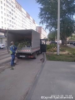 В Перми подрядчики начали вывозить упавшие после сильной грозы деревья В Перми подрядчики начали вывозить упавшие после сильной грозы деревья