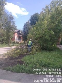 В Перми подрядчики начали вывозить упавшие после сильной грозы деревья В Перми подрядчики начали вывозить упавшие после сильной грозы деревья