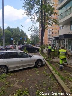 В Перми подрядчики начали вывозить упавшие после сильной грозы деревья В Перми подрядчики начали вывозить упавшие после сильной грозы деревья