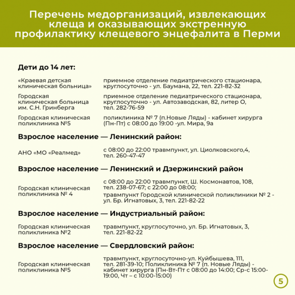 За две недели в Прикамье энцефалитом заболели девять человек. Куда обращаться, если присосался клещ? За две недели в Прикамье энцефалитом заболели девять человек. Куда обращаться, если присосался клещ?