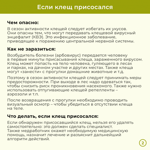 За две недели в Прикамье энцефалитом заболели девять человек. Куда обращаться, если присосался клещ? За две недели в Прикамье энцефалитом заболели девять человек. Куда обращаться, если присосался клещ?