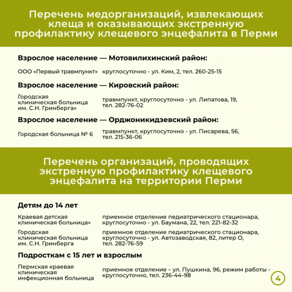 За две недели в Прикамье энцефалитом заболели девять человек. Куда обращаться, если присосался клещ? За две недели в Прикамье энцефалитом заболели девять человек. Куда обращаться, если присосался клещ?