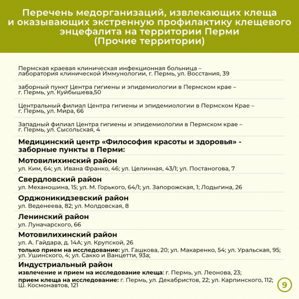 За две недели в Прикамье энцефалитом заболели девять человек. Куда обращаться, если присосался клещ? За две недели в Прикамье энцефалитом заболели девять человек. Куда обращаться, если присосался клещ?