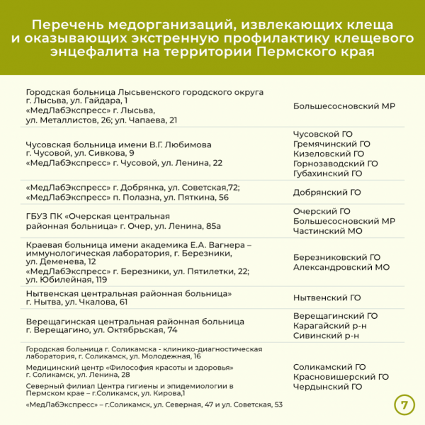 За две недели в Прикамье энцефалитом заболели девять человек. Куда обращаться, если присосался клещ? За две недели в Прикамье энцефалитом заболели девять человек. Куда обращаться, если присосался клещ?
