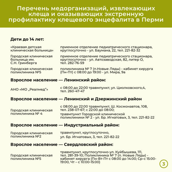 За две недели в Прикамье энцефалитом заболели девять человек. Куда обращаться, если присосался клещ? За две недели в Прикамье энцефалитом заболели девять человек. Куда обращаться, если присосался клещ?