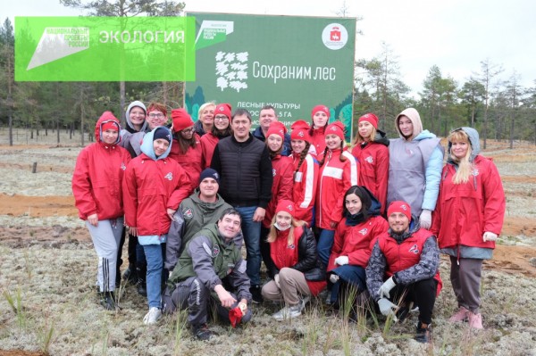 Дмитрий Махонин вместе с волонтерами высадил сосны в Соликамске в рамках Всероссийской акции «Сохраним лес»