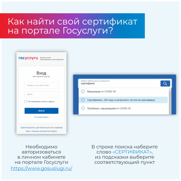 Инструкция по использованию QR-кодов и сертификатов при посещении массовых мероприятий в Прикамье