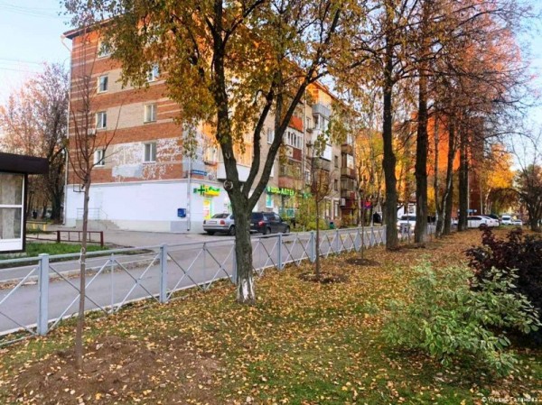 В Индустриальном районе Перми этой осенью высадят 220 молодых деревьев