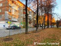 В Индустриальном районе Перми этой осенью высадят 220 молодых деревьев