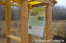В Перми создана новая экологическая тропа «С любовью, лес» В Перми создана новая экологическая тропа «С любовью, лес»