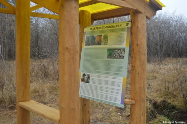 В Перми создана новая экологическая тропа «С любовью, лес» В Перми создана новая экологическая тропа «С любовью, лес»