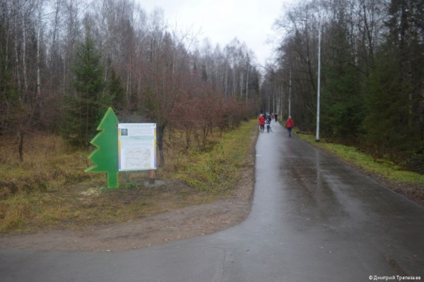В Перми создана новая экологическая тропа «С любовью, лес» В Перми создана новая экологическая тропа «С любовью, лес»
