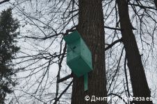 В городских лесах Перми начали устанавливать дуплянки и кормушки для зимовки птиц В городских лесах Перми начали устанавливать дуплянки и кормушки для зимовки птиц