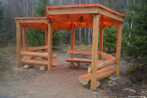 В Перми создана новая экологическая тропа «С любовью, лес» В Перми создана новая экологическая тропа «С любовью, лес»