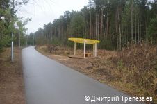 В Перми создана новая экологическая тропа «С любовью, лес» В Перми создана новая экологическая тропа «С любовью, лес»