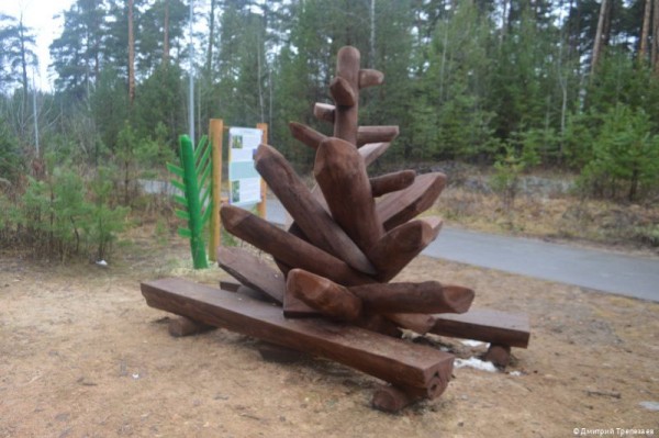 В Перми создана новая экологическая тропа «С любовью, лес» В Перми создана новая экологическая тропа «С любовью, лес»