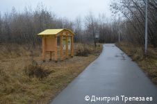 В Перми создана новая экологическая тропа «С любовью, лес» В Перми создана новая экологическая тропа «С любовью, лес»