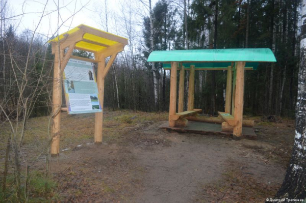 В Перми создана новая экологическая тропа «С любовью, лес» В Перми создана новая экологическая тропа «С любовью, лес»