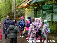 В городских лесах Перми проходят познавательные прогулки с лесничими