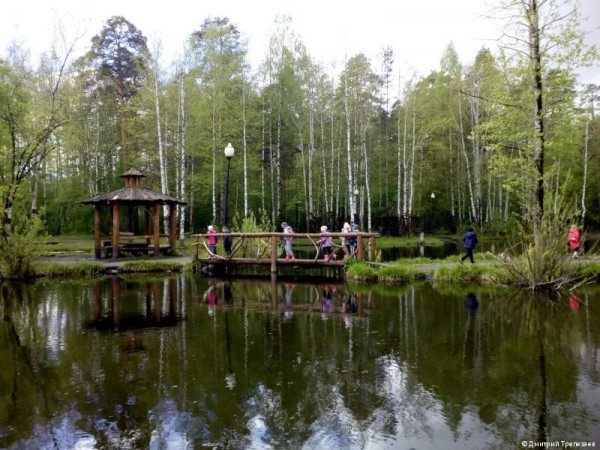 В городских лесах Перми проходят познавательные прогулки с лесничими