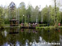 В городских лесах Перми проходят познавательные прогулки с лесничими