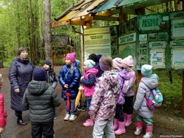 В городских лесах Перми проходят познавательные прогулки с лесничими
