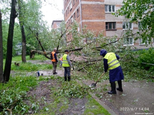 Глава Перми Алексей Дёмкин поручил главам районов оперативно убрать поваленные ветром деревья