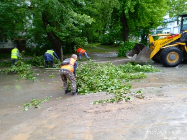 Глава Перми Алексей Дёмкин поручил главам районов оперативно убрать поваленные ветром деревья