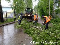 Глава Перми Алексей Дёмкин поручил главам районов оперативно убрать поваленные ветром деревья