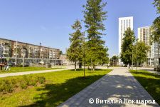 Дмитрий Махонин и Алексей Дёмкин проинспектировали ход благоустройства бульвара им. Советской Армии в Перми Дмитрий Махонин и Алексей Дёмкин проинспектировали ход благоустройства бульвара им. Советской Армии в Перми