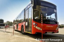 В Перми выбрали лучших водителей автобусов среди сотрудников МУП «Пермгорэлектротранс» 