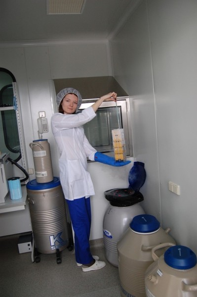 Медицина будущего и спасение тяжелых пациентов: клеточная лаборатория в Донецке