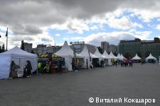 В Перми стартовал грандиозный спортивный праздник – юбилейный пятый Пермский марафон