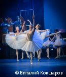 Глава Перми Алексей Дёмкин вручил регалии новым Почётным гражданам города