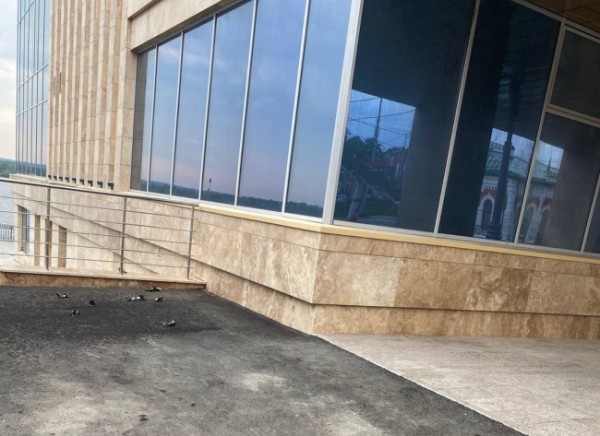 Около вокзала «Пермь-1» массово погибли дятлы Около вокзала «Пермь-1» массово погибли дятлы