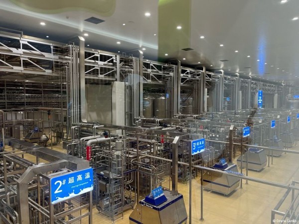 Ученики пермских школ побывали в Международном лагере дружбы в Китае