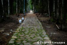 «Зелёное кольцо» Перми: общая протяженность беговых и веломаршрутов в Черняевском лесу составит более 30 километров