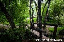 «Зелёное кольцо» Перми: общая протяженность беговых и веломаршрутов в Черняевском лесу составит более 30 километров