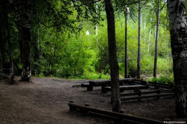 «Зелёное кольцо» Перми: общая протяженность беговых и веломаршрутов в Черняевском лесу составит более 30 километров