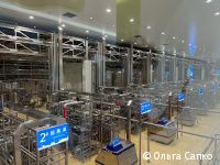 Ученики пермских школ побывали в Международном лагере дружбы в Китае