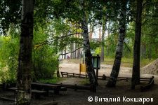 «Зелёное кольцо» Перми: общая протяженность беговых и веломаршрутов в Черняевском лесу составит более 30 километров