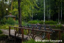 «Зелёное кольцо» Перми: общая протяженность беговых и веломаршрутов в Черняевском лесу составит более 30 километров